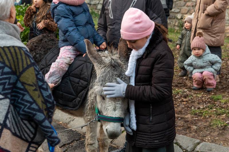 2023_12_23_szallast keres_03.jpg